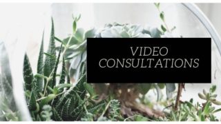 Video Consultations