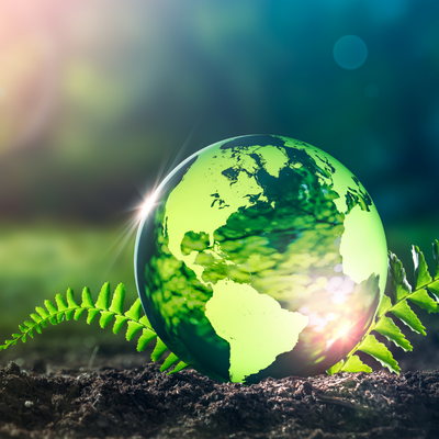 Earth Day, Every Day